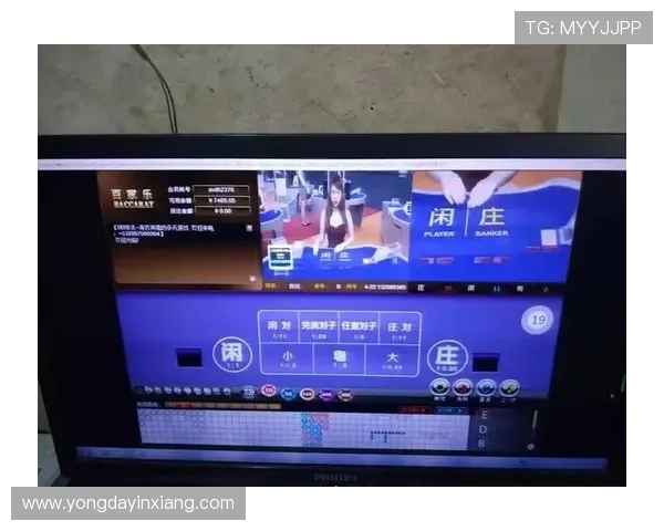 亚星百家乐官网多平台兼容性与移动端体验优化分析